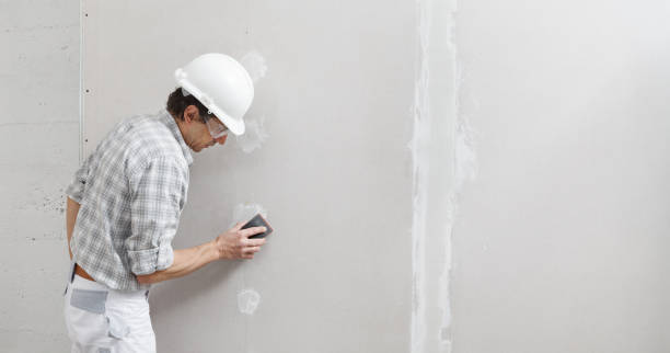 Best Crawl Space Mold Remediation  in Port Charlotte, FL