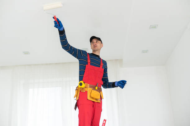 Best Mold Damage Restoration  in Port Charlotte, FL