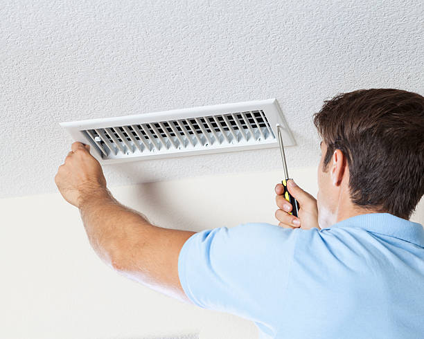 Best Mold-Related Health Consultation  in Port Charlotte, FL