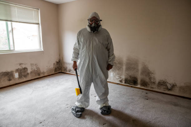 Asbestos and Lead Testing During Mold Inspection in Port Charlotte, FL